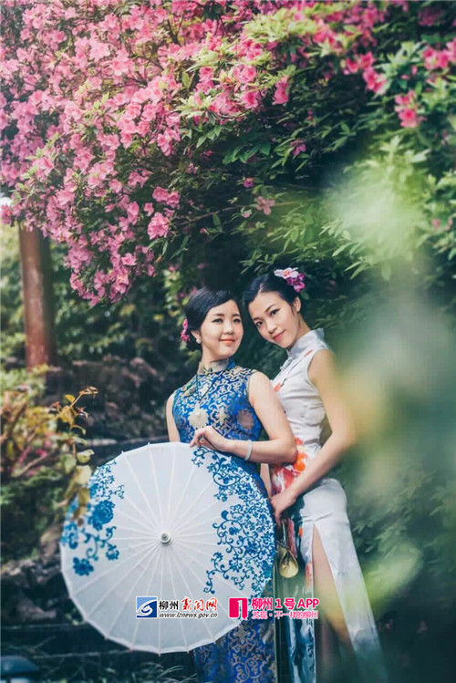 鏌冲窞鍗佸ぇ濂崇鎺掑悕,鏌冲窞鍗佸ぇ濂崇