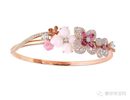 baby为什么选择黄晓明,baby为啥选郑恺