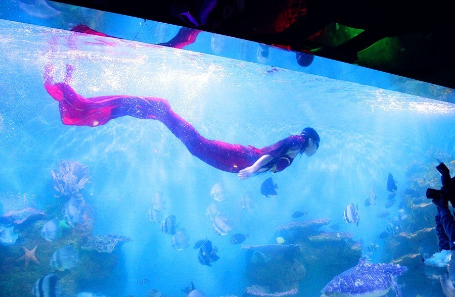 合肥一百多高档餐厅,合肥消费档次最高的餐厅多少钱