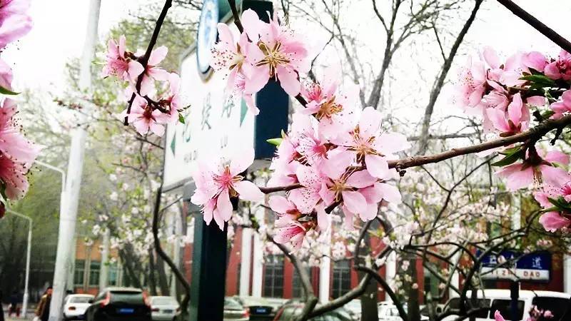 一大波好消息来袭，只和天津人有关，全国人民只有羡慕的份