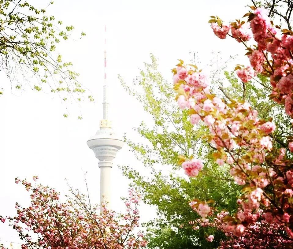 一大波好消息来袭，只和天津人有关，全国人民只有羡慕的份