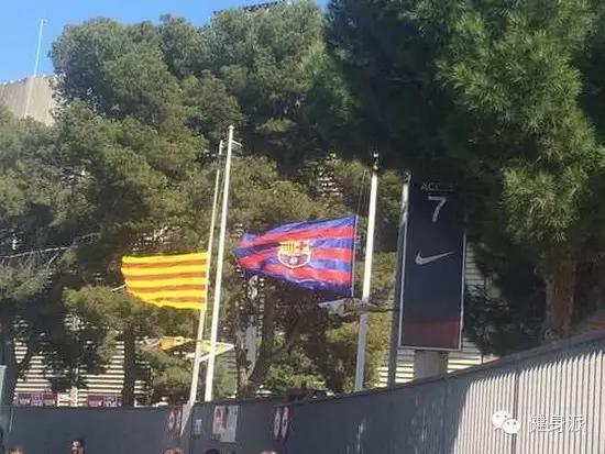 足球约翰克鲁伊夫,约翰·克鲁伊夫踢球风格