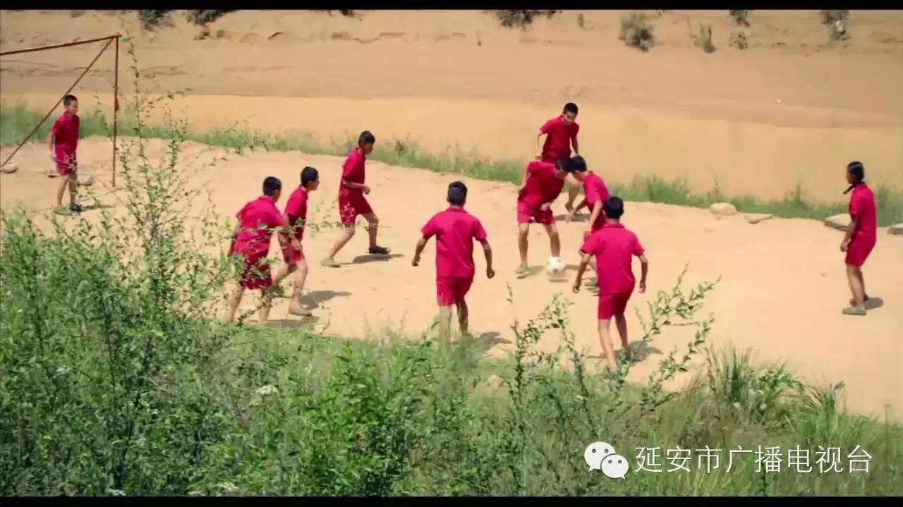 足球少年梦电影,少年足球梦在线观看