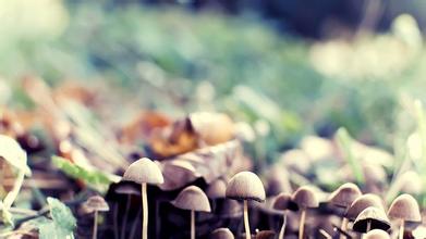 只用3分钟，把你救出教育孩子的“6个”误区！建议收藏