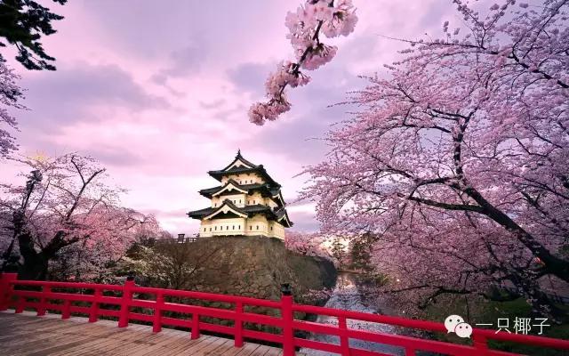 减肥取经|互动送礼为什么日本罕有胖女人？