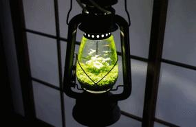 修复几十年前的马灯,旧马灯翻新全过程