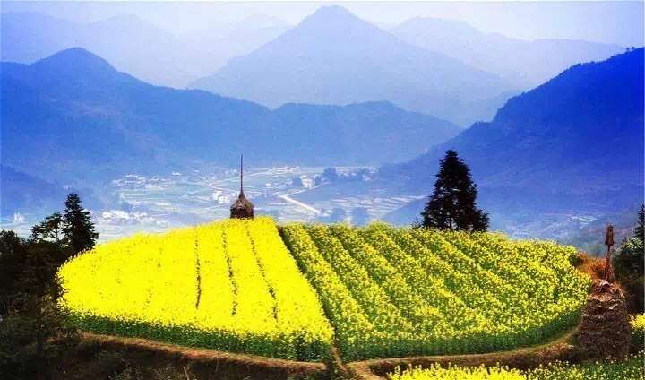 十里春风赏花季，你的朋友圈配词准备好了吗？