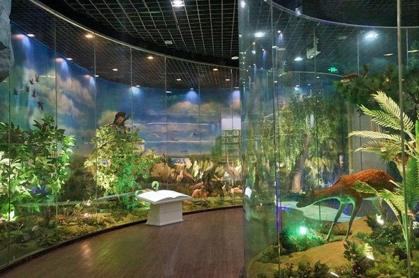 太湖舒畅之旅：乐享田园生活