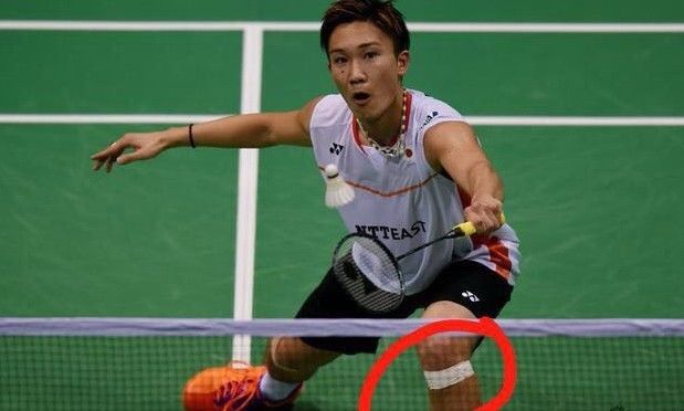 髌腱支持带在哪个位置,髌腱炎和髌腱末端病的区别