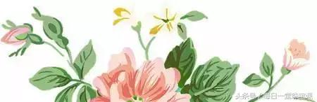 赵薇发福变胖,赵薇瘦了30斤的照片