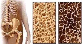 同仁堂馆藏中成药,同仁堂中成药秘藏馆