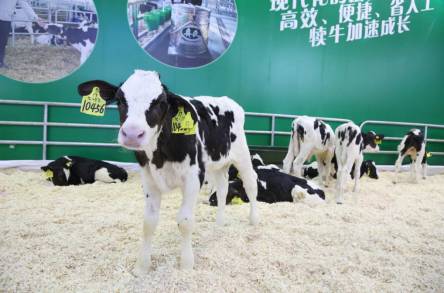 南京国际博览中心建邺区,南京建邺博览会