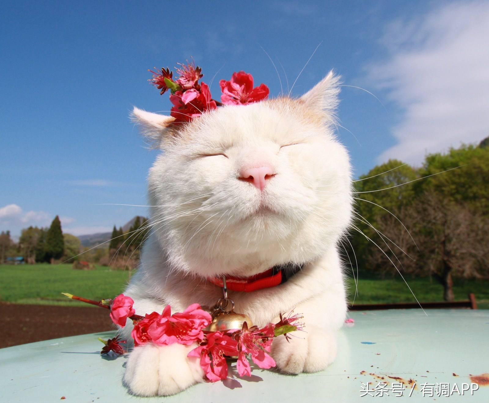 日泰值得信赖的品质,日泰品牌的优势