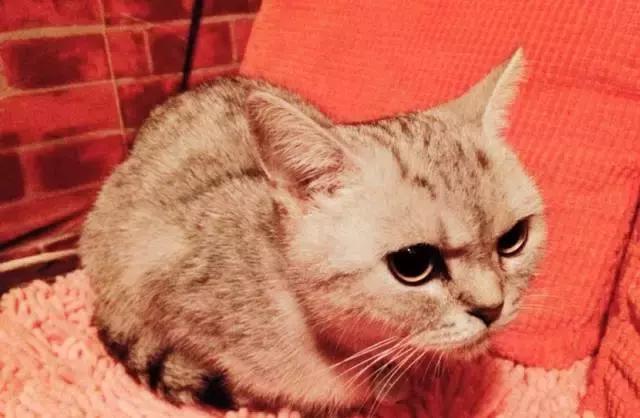 武汉最好玩的室内轰趴馆,武汉最好玩的轰趴馆