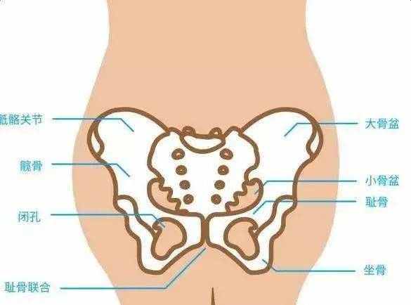 孕期耻骨疼要关注什么事项,准妈妈说说自己刚怀孕的症状