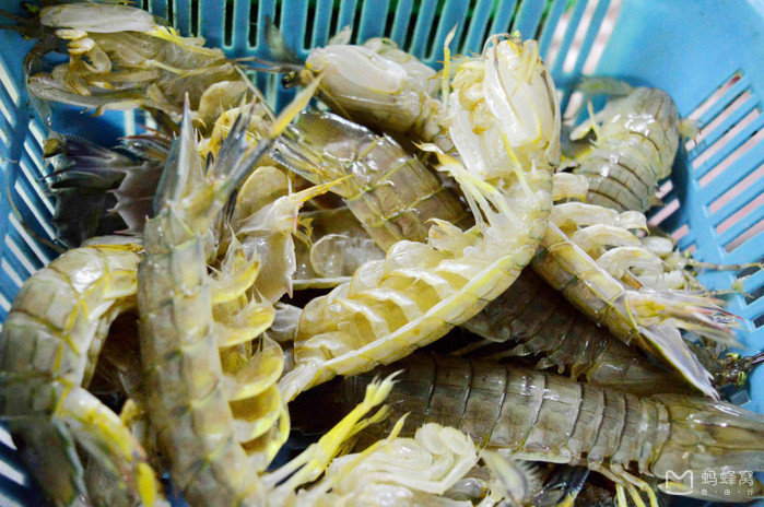 快乐的我们带着宝宝玩转三亚，亲子自驾游