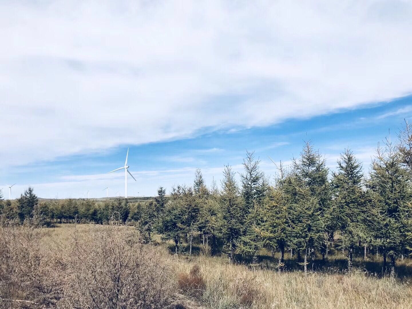 「十一长假诗与远方之旅」聊着足球明星向着草原一路进发！