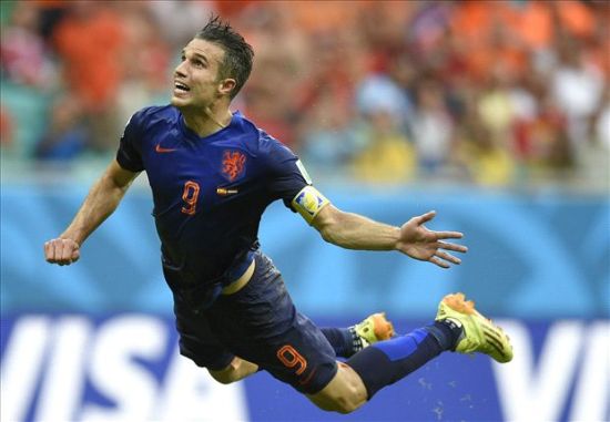 荷兰的郁金香,荷兰郁金香已然凋零