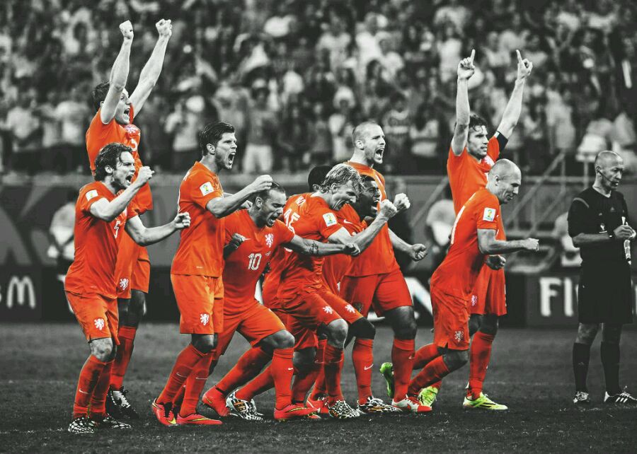 荷兰的郁金香,荷兰郁金香已然凋零