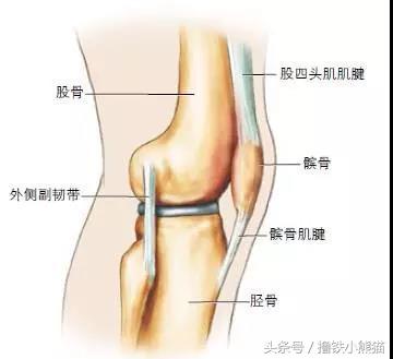 全方位解析，美国专业医生告诉你：膝关节损伤如何识别及自我治疗