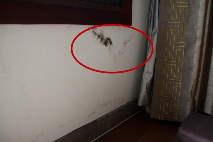 家里墙壁潮湿发霉怎么解决,家里潮湿墙面发霉怎么解决