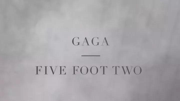 ladygaga真实成名历程,ladygaga最新纪录片