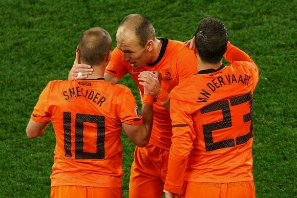 荷兰的郁金香,荷兰郁金香已然凋零