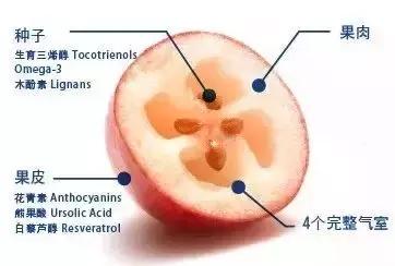 蔓越莓背后的神秘传说，她是个有故事的水果