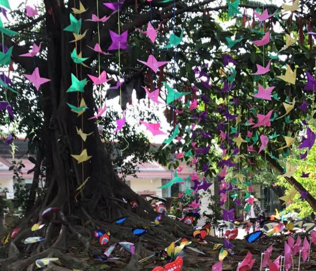 热气球南海桂城,佛山足球主题农庄