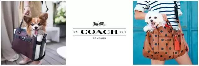 包包入门｜安利70款包包，从实习生进阶时尚女魔头！省钱保值秘笈