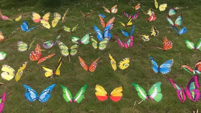 热气球南海桂城,佛山足球主题农庄