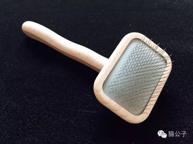 到处都是猫毛,短毛猫梳和长毛梳什么区别