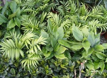 震惊震惊。。。你的梦都预示着什么？