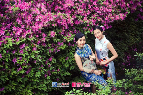 鏌冲窞鍗佸ぇ濂崇鎺掑悕,鏌冲窞鍗佸ぇ濂崇