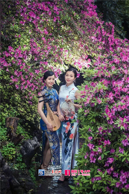 鏌冲窞鍗佸ぇ濂崇鎺掑悕,鏌冲窞鍗佸ぇ濂崇