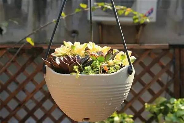 武汉阳逻花店,武汉武昌花店送花