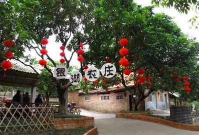 南宁适合夏天去的农家乐,南宁三塘农家乐排名前十名