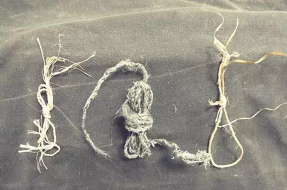 野外生存diy教你制作捕捉陷阱,野外求生陷阱简单大全