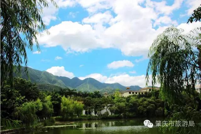 广东肇庆景色很好的大学,肇庆学院风景湖