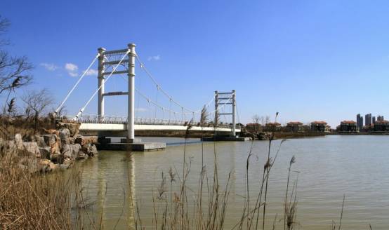 看樱花何必去远方,天津水上公园神户园樱花