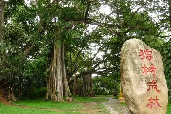 2018年瑞丽泼水节采花点,2018年德宏州瑞丽泼水节
