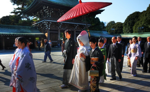 旅游景点樱花谷攻略,赏樱攻略和景点推荐