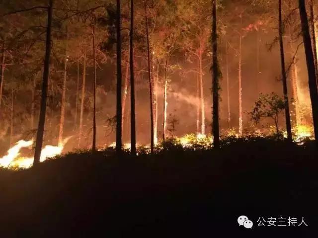 清明关注安全,清明时节交通关注事项