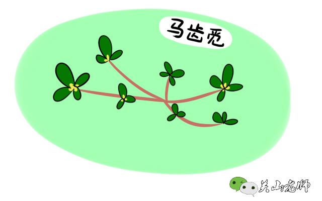 一位广东孕妈的哭诉，一只螃蟹引发的流产，惊醒千万孕妈！