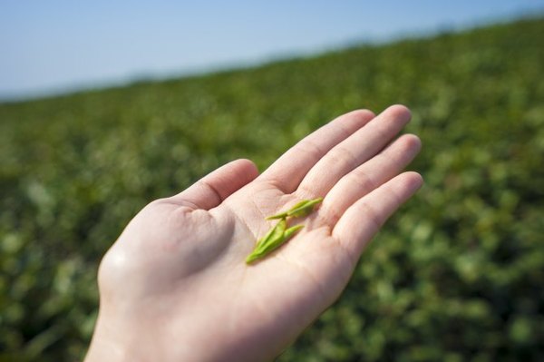 太湖舒畅之旅：乐享田园生活