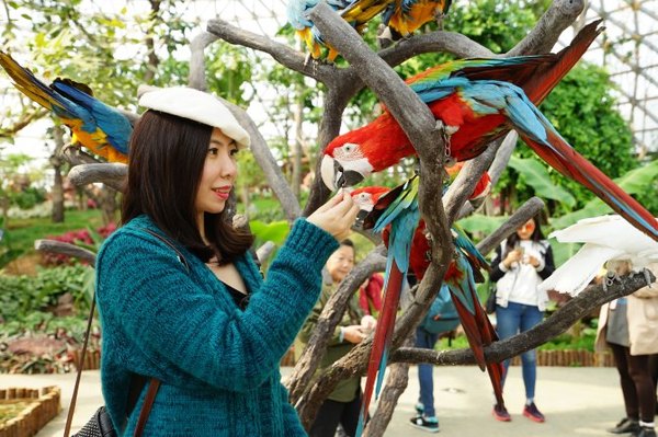 太湖舒畅之旅：乐享田园生活