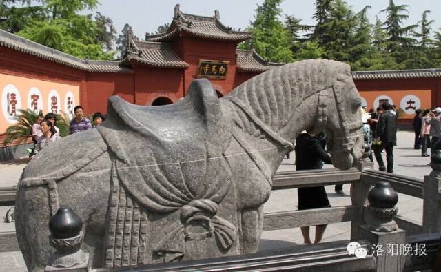 洛阳旅游攻略景点必去,洛阳白云山自驾游攻略