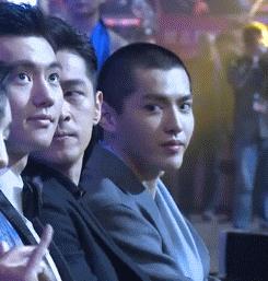 金毛狮王怎么打理,金毛狮王头发打理