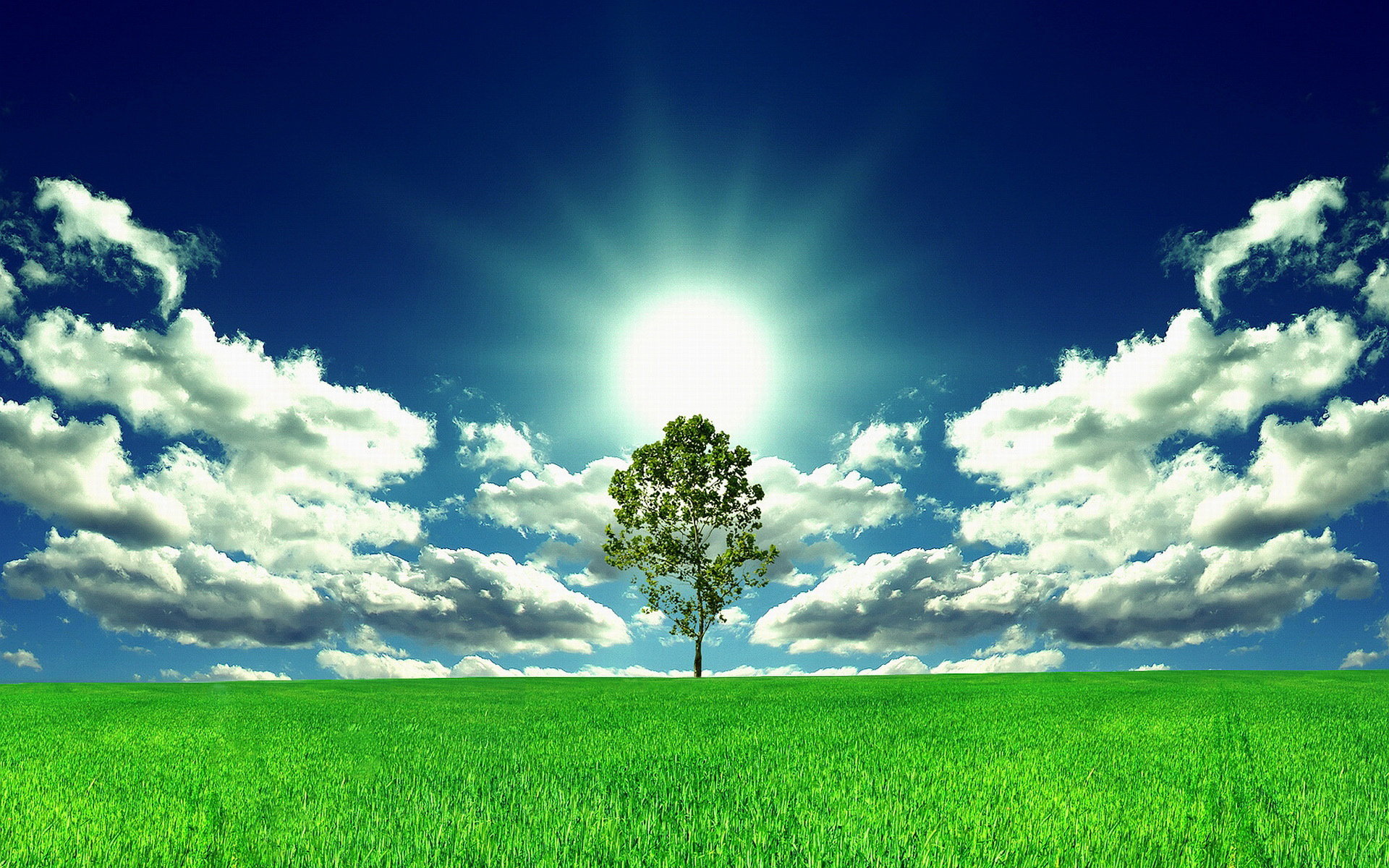 场面描写烘托气氛,渲染气氛烘托环境描写