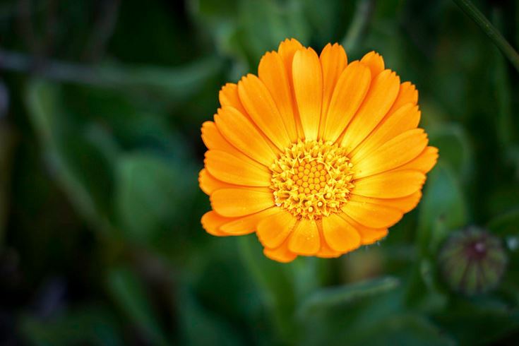 因为爱你所以等你,因为爱你我愿赌服输